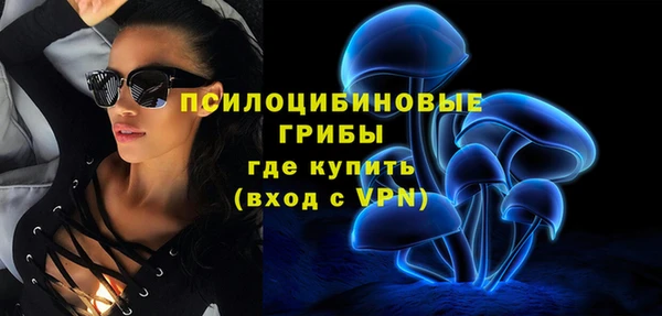 дурь Гусев