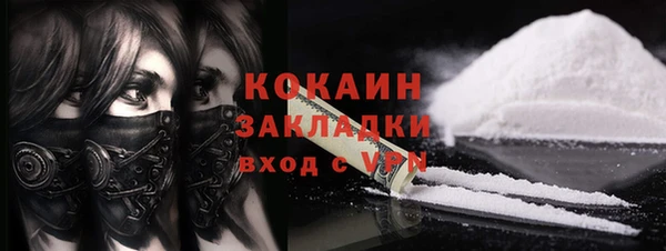 дурь Гусев