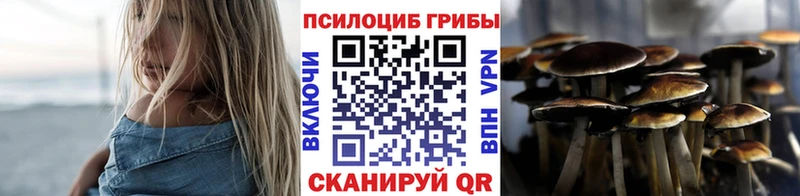 маркетплейс официальный сайт  Ершов  Псилоцибиновые грибы Psilocybine cubensis  купить наркотики сайты 